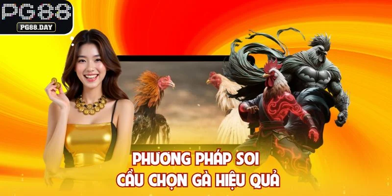 Phương pháp soi cầu chọn gà hiệu quả