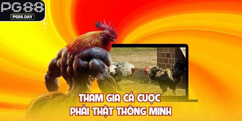 Tham gia cá cược phải thật thông minh